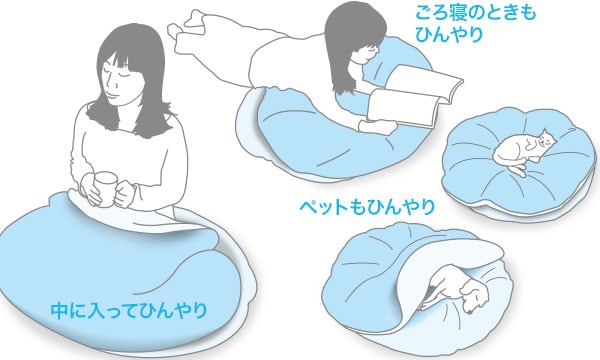 Nクール　入れるフロアクッション