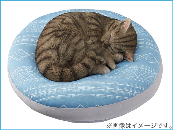 モチモチクッション(40R Nクール ジオ n-s)
