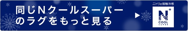 22年以前モデル_NクールSPラグ