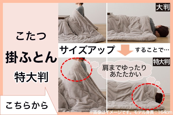大判から特大判へサイズアップ