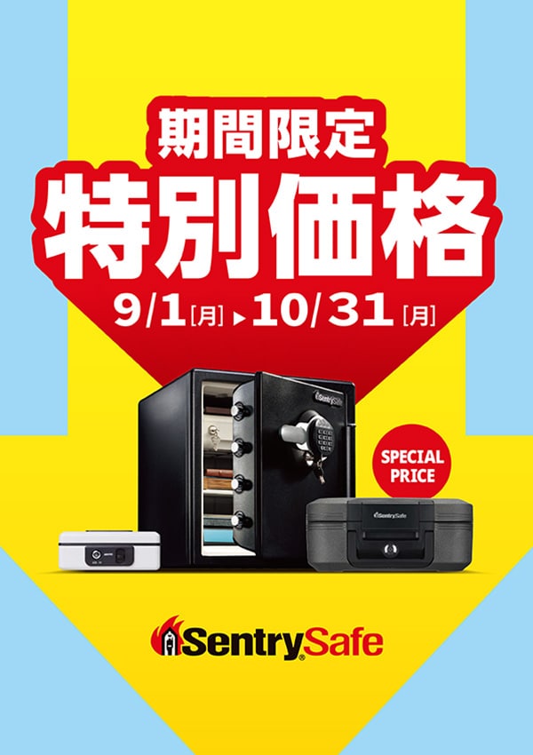 期間限定特別価格