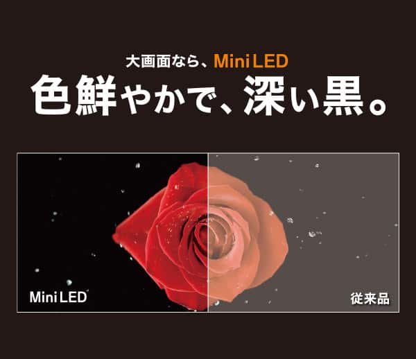 色鮮やかで深い黒