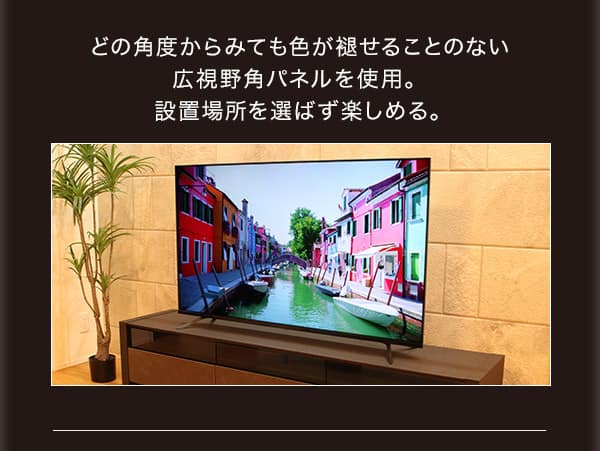 広角視野パネルを使用