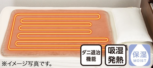 Nウォーム
