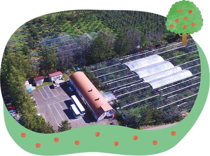 広大な大地と果樹園の画像