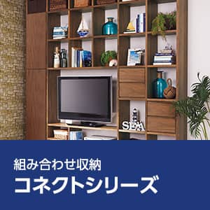 組み合わせ収納特集-コネクトシリーズ