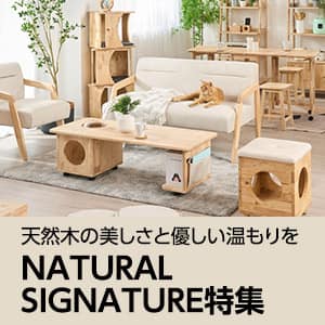 天然木の美しさと優しい温もりを NATURAL SIGNATURE特集