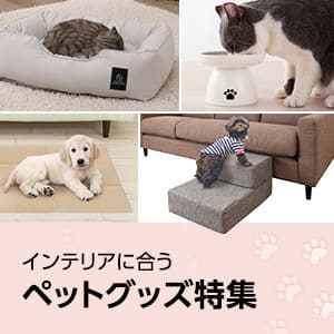 インテリアに合うペットグッズ特集
