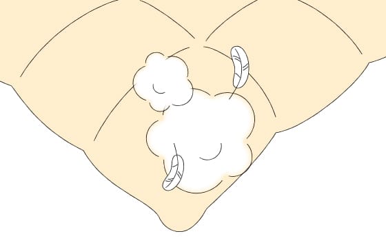 失敗例②羽毛が飛び出た