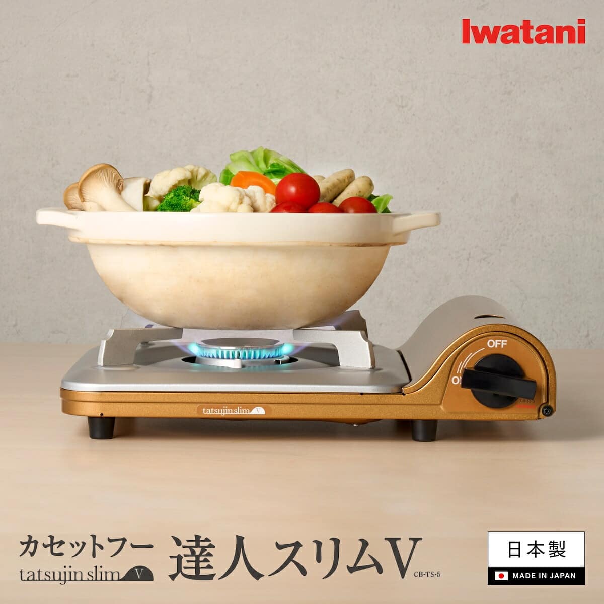 セット買い】Iwatani カセットガス 達人スリムⅤケース付き CB-TS-5-A