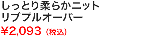 しっとり柔らかニットリブプルオーバー