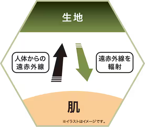 生地 人体からの遠赤外線 遠赤外線を輻射 肌