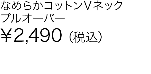 なめらかコットンＶネックプルオーバー